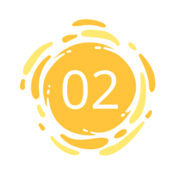 n2